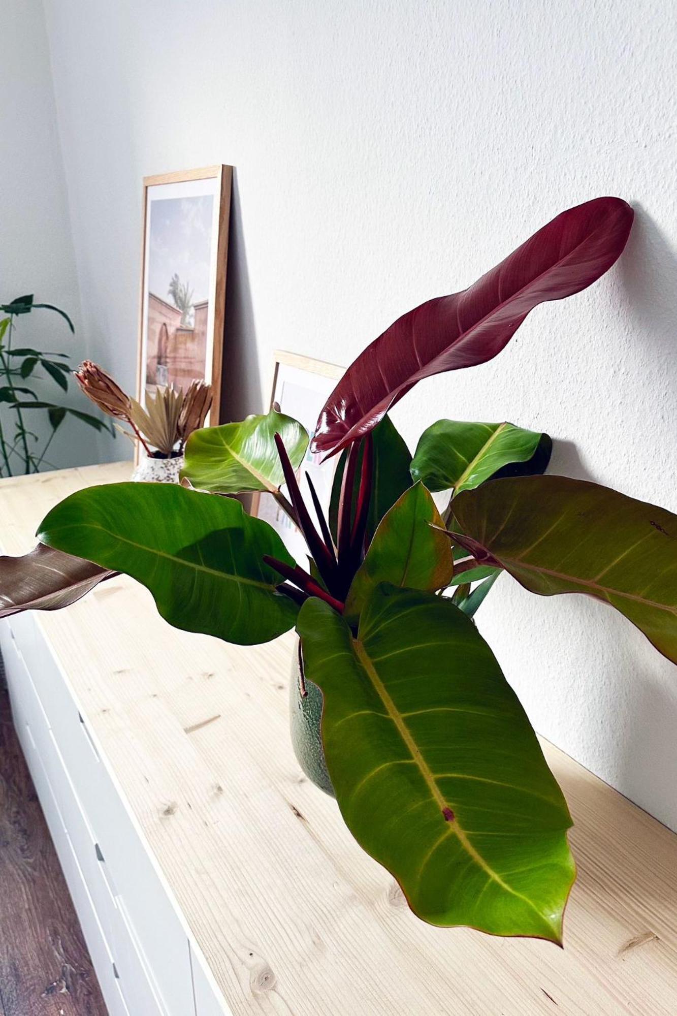 Business & Leisure Apartment Ingolstadt Ngoại thất bức ảnh
